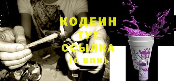 индика Балабаново