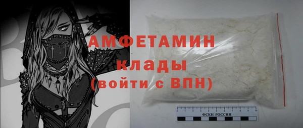 индика Балабаново
