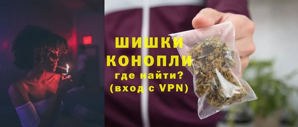 индика Балабаново
