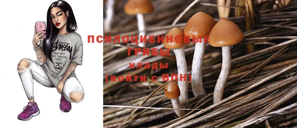 индика Балабаново